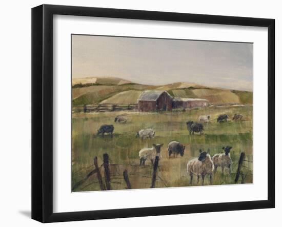 Grazing Sheep II-Ethan Harper-Framed Art Print