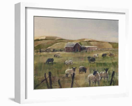 Grazing Sheep II-Ethan Harper-Framed Art Print