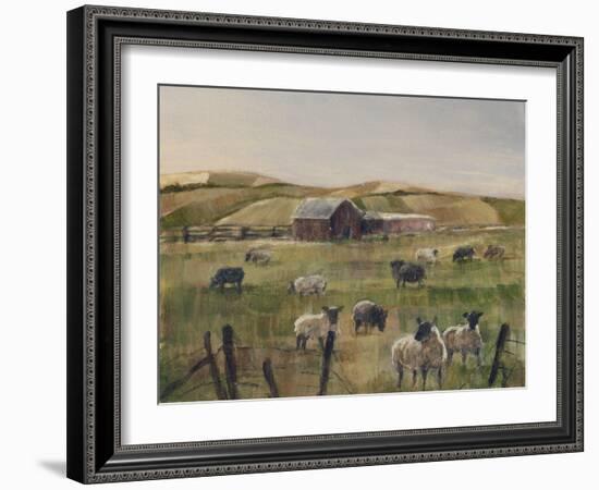 Grazing Sheep II-Ethan Harper-Framed Art Print