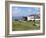 Grazing Sheep, Mortehoe, Devon, England, United Kingdom, Europe-Jeremy Lightfoot-Framed Photographic Print