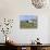 Grazing Sheep, Mortehoe, Devon, England, United Kingdom, Europe-Jeremy Lightfoot-Photographic Print displayed on a wall