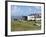 Grazing Sheep, Mortehoe, Devon, England, United Kingdom, Europe-Jeremy Lightfoot-Framed Photographic Print