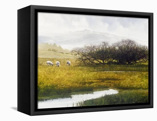 Grazing Sheep-Miguel Dominguez-Framed Premier Image Canvas