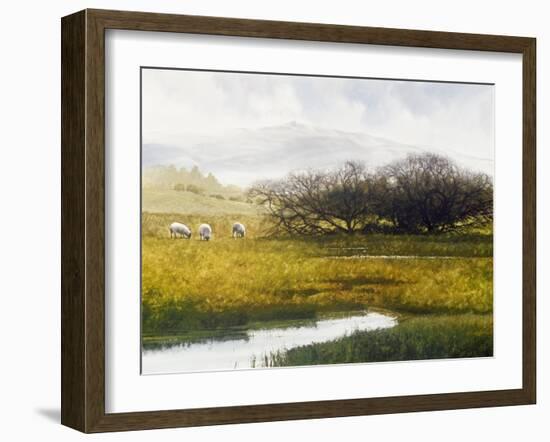 Grazing Sheep-Miguel Dominguez-Framed Giclee Print