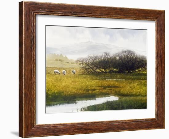 Grazing Sheep-Miguel Dominguez-Framed Giclee Print