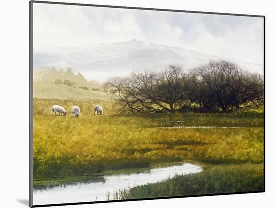 Grazing Sheep-Miguel Dominguez-Mounted Giclee Print