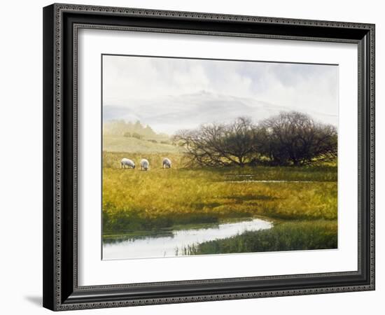 Grazing Sheep-Miguel Dominguez-Framed Giclee Print