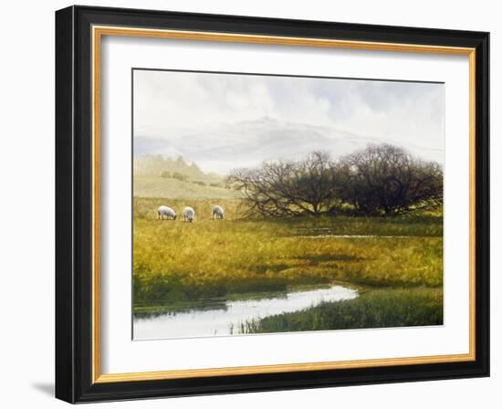 Grazing Sheep-Miguel Dominguez-Framed Giclee Print