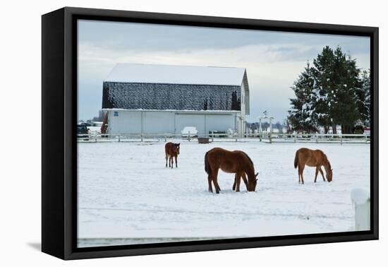 Grazing the Snow-Dana Styber-Framed Premier Image Canvas