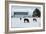 Grazing the Snow-Dana Styber-Framed Photographic Print