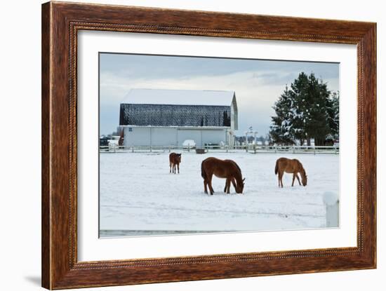 Grazing the Snow-Dana Styber-Framed Photographic Print