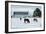 Grazing the Snow-Dana Styber-Framed Photographic Print