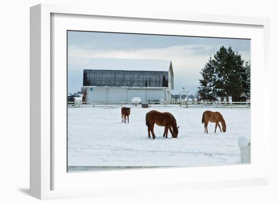 Grazing the Snow-Dana Styber-Framed Photographic Print