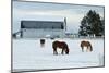 Grazing the Snow-Dana Styber-Mounted Photographic Print