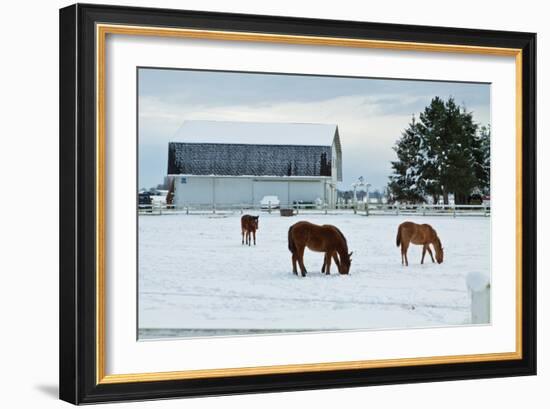 Grazing the Snow-Dana Styber-Framed Photographic Print