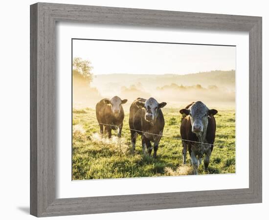 Grazing Trio-Mikael Svensson-Framed Giclee Print