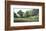 Grazing-Ray Hendershot-Framed Art Print