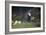 Grazing-Francesco Burlazzi-Framed Giclee Print