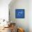 Great Advice Shark-Michael Buxton-Framed Stretched Canvas displayed on a wall