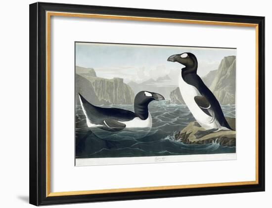 Great Auk, 1836-John James Audubon-Framed Premium Giclee Print