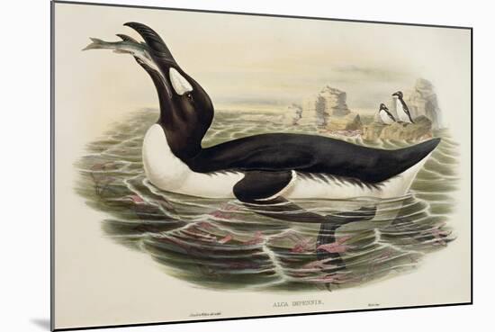 Great Auk Pinguinus Impennis-null-Mounted Giclee Print
