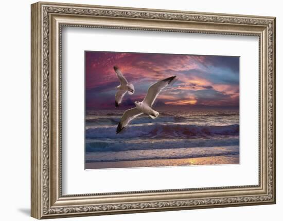 Great Awakening-Steve Hunziker-Framed Art Print