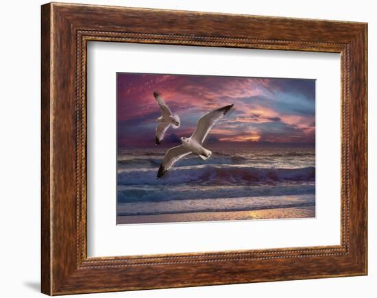 Great Awakening-Steve Hunziker-Framed Art Print