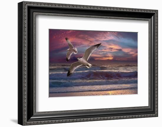 Great Awakening-Steve Hunziker-Framed Art Print