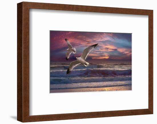 Great Awakening-Steve Hunziker-Framed Art Print