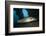 Great Barracuda at Liberty Wreck, Tulamben, Bali, Indonesia-Reinhard Dirscherl-Framed Photographic Print