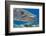 Great barracuda with three Copepods on upper jaw, Hawaii-David Fleetham-Framed Photographic Print