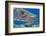 Great barracuda with three Copepods on upper jaw, Hawaii-David Fleetham-Framed Photographic Print