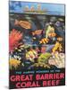 Great Barrier Coral Reef c.1933-Frederick Phillips-Mounted Giclee Print