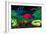 Great Barrier Reef, Australia-John Newcomb-Framed Giclee Print