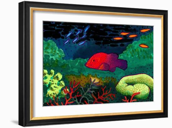 Great Barrier Reef, Australia-John Newcomb-Framed Giclee Print