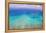 Great Barrier Reef, Cairns Australia, Seen from Above-dzain-Framed Premier Image Canvas