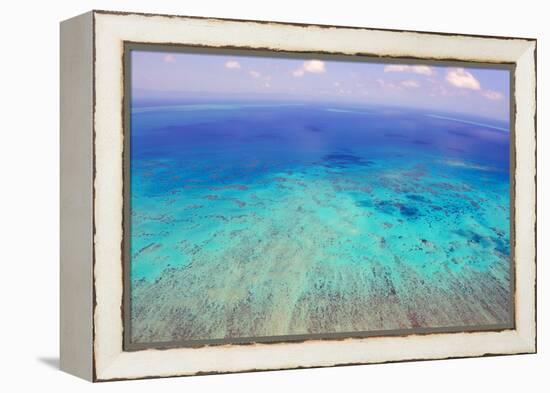 Great Barrier Reef, Cairns Australia, Seen from Above-dzain-Framed Premier Image Canvas