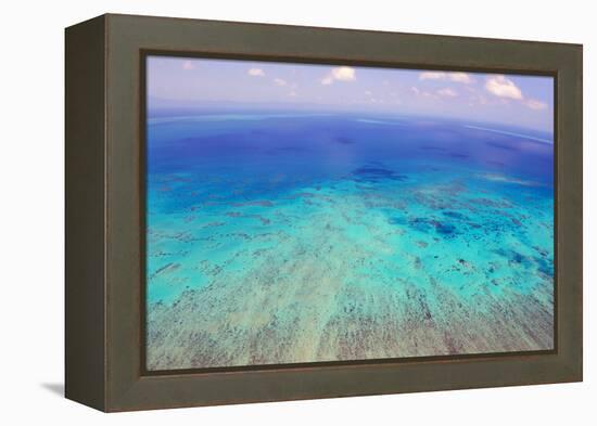 Great Barrier Reef, Cairns Australia, Seen from Above-dzain-Framed Premier Image Canvas