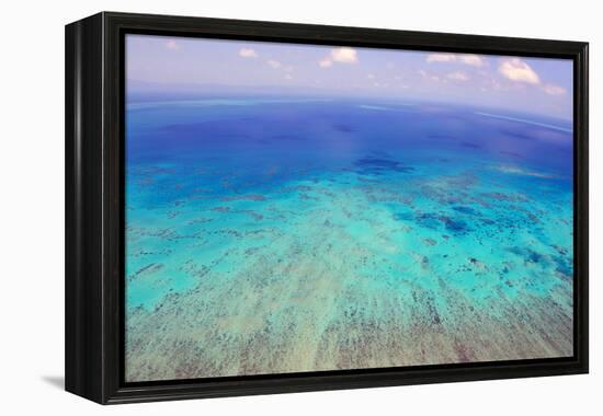 Great Barrier Reef, Cairns Australia, Seen from Above-dzain-Framed Premier Image Canvas