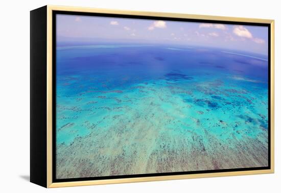 Great Barrier Reef, Cairns Australia, Seen from Above-dzain-Framed Premier Image Canvas