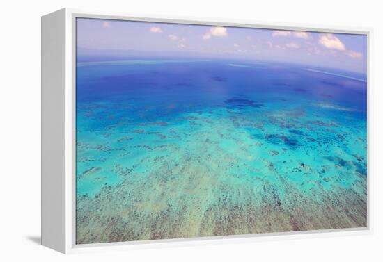 Great Barrier Reef, Cairns Australia, Seen from Above-dzain-Framed Premier Image Canvas