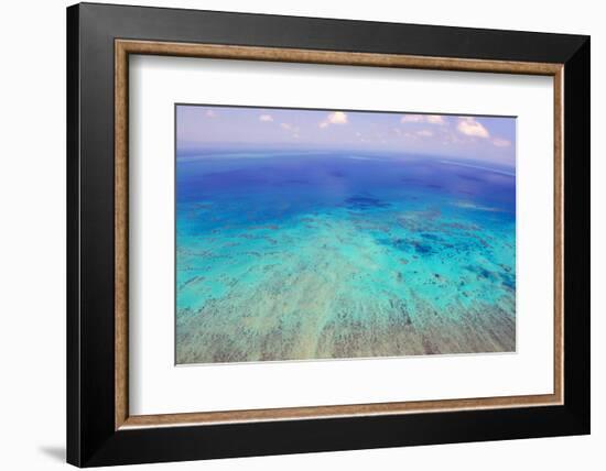Great Barrier Reef, Cairns Australia, Seen from Above-dzain-Framed Photographic Print
