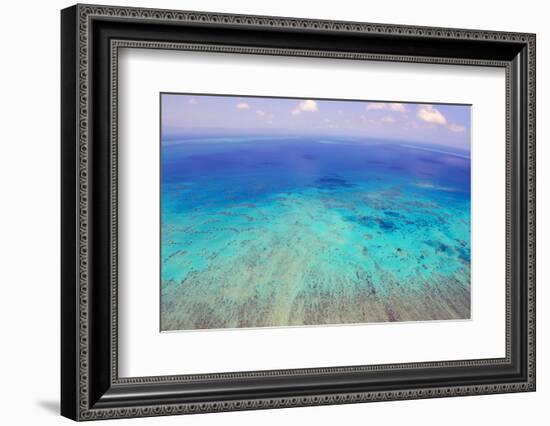 Great Barrier Reef, Cairns Australia, Seen from Above-dzain-Framed Photographic Print