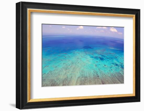 Great Barrier Reef, Cairns Australia, Seen from Above-dzain-Framed Photographic Print