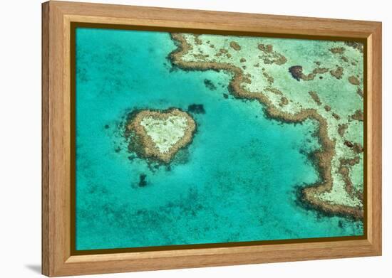 Great Barrier Reef II-Larry Malvin-Framed Premier Image Canvas