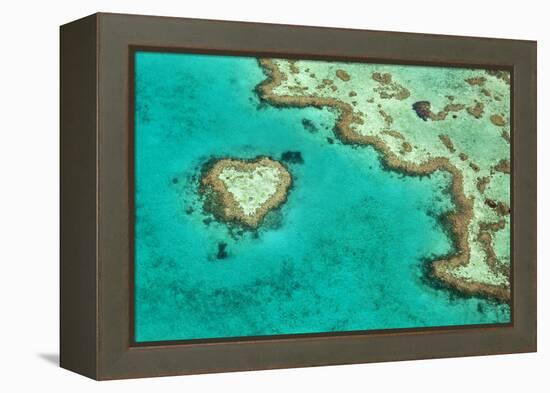 Great Barrier Reef II-Larry Malvin-Framed Premier Image Canvas