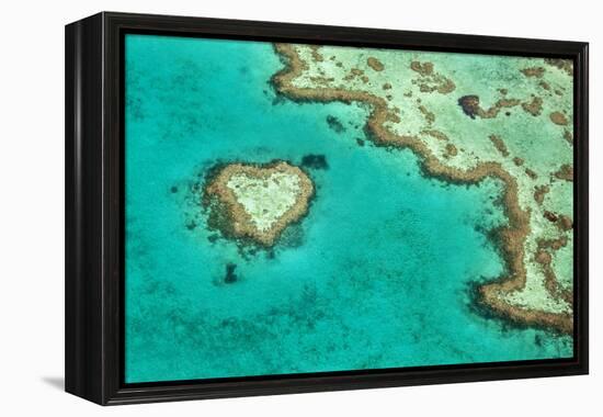 Great Barrier Reef II-Larry Malvin-Framed Premier Image Canvas