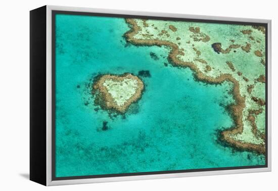 Great Barrier Reef II-Larry Malvin-Framed Premier Image Canvas