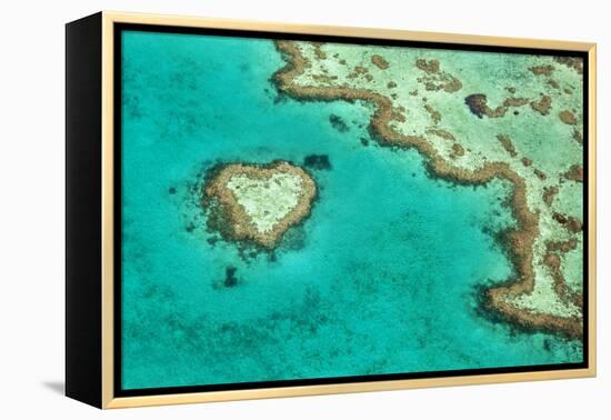 Great Barrier Reef II-Larry Malvin-Framed Premier Image Canvas