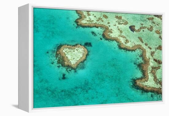 Great Barrier Reef II-Larry Malvin-Framed Premier Image Canvas